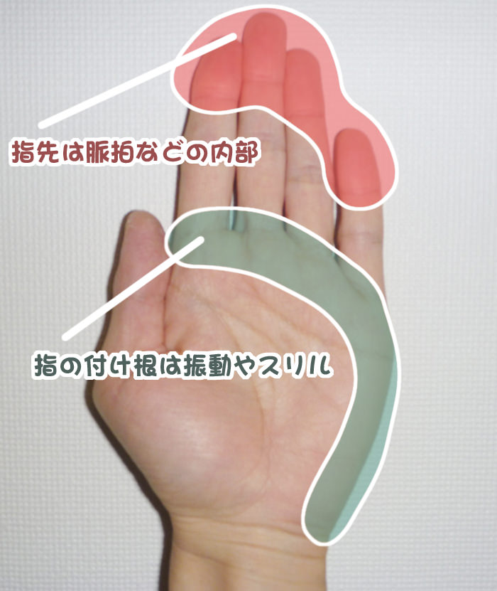 触診・指先は脈拍などの内部、指の付け根は振動やスリル